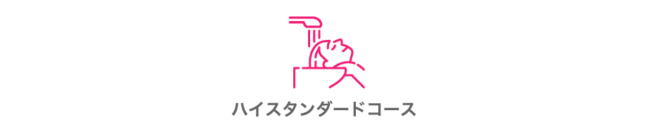 ハイスタンダードコース