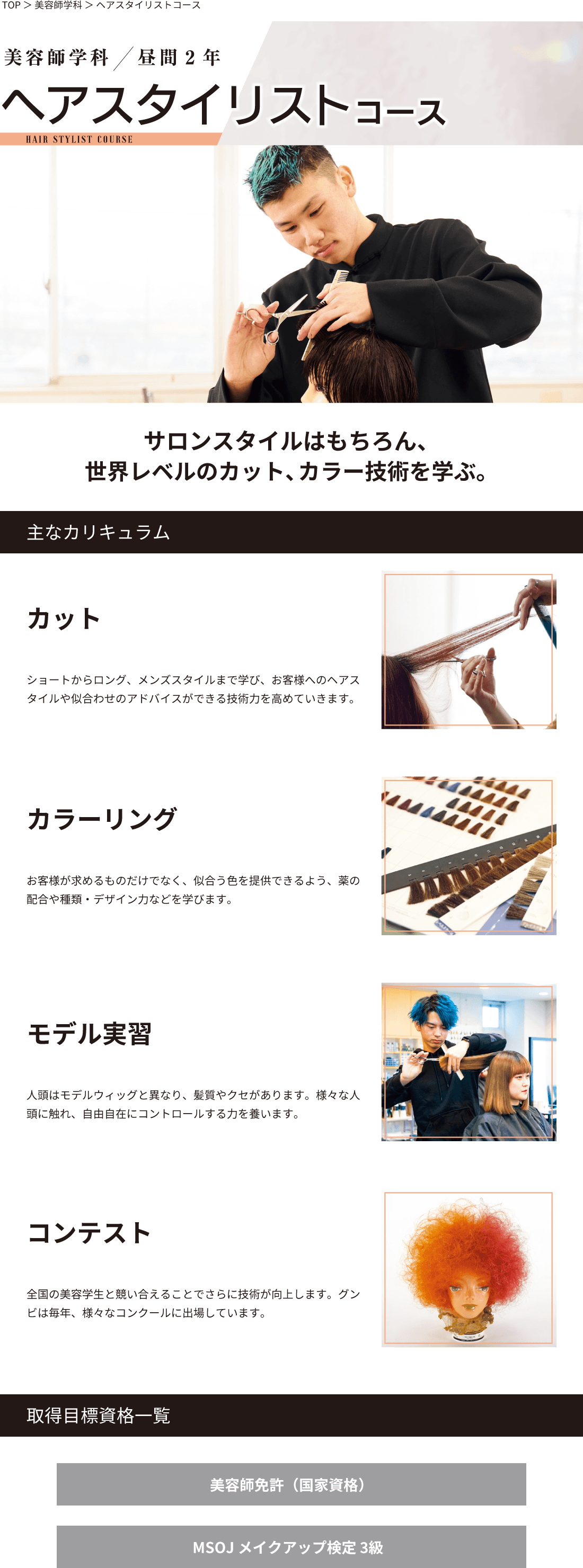 ヘアスタイリストコース