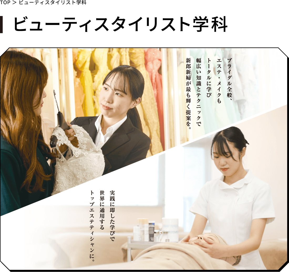 ビューティスタイリスト学科
